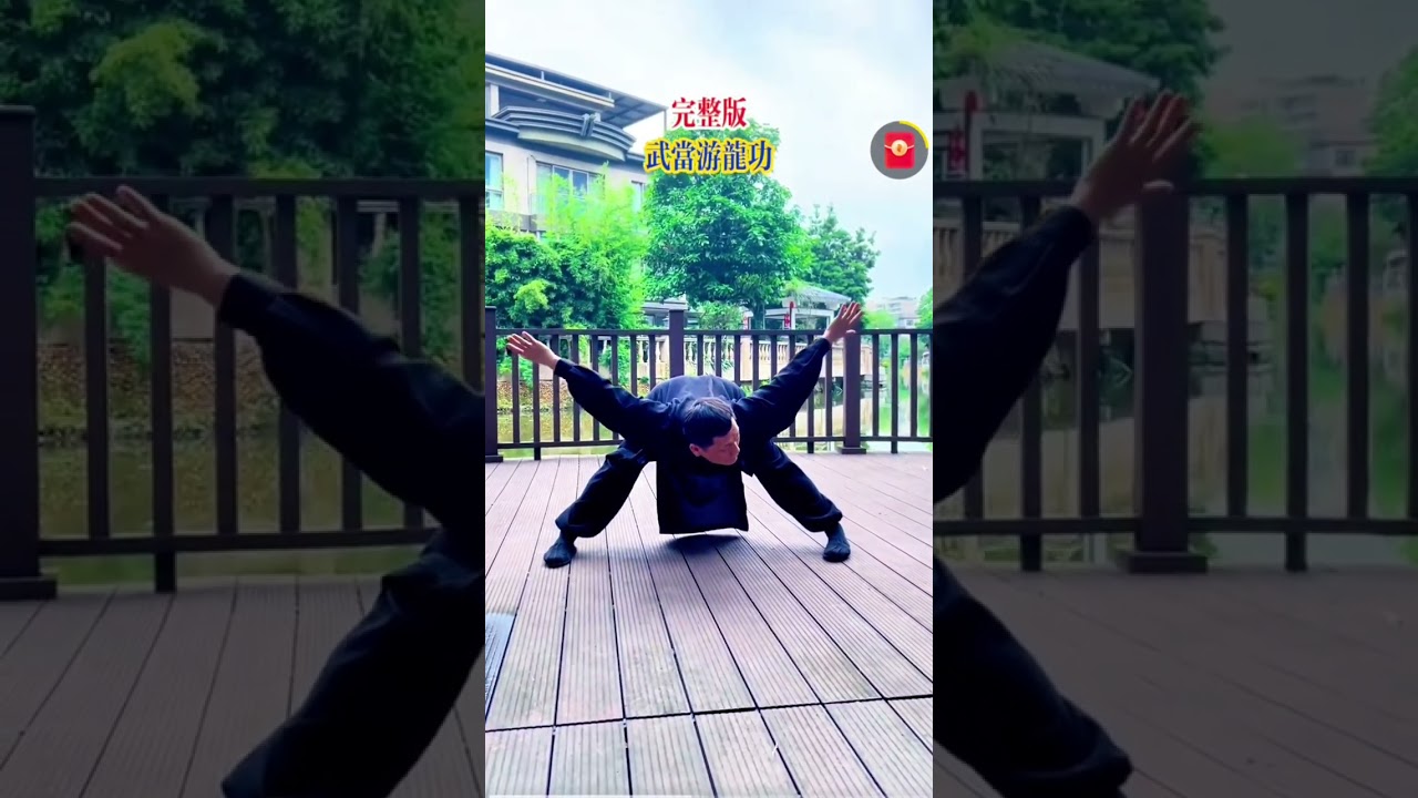 ☯️ Versión completa Dragón Volador de  Wudang. Wudang Tai Chi Hermano Zhao. Taichi Asoc.