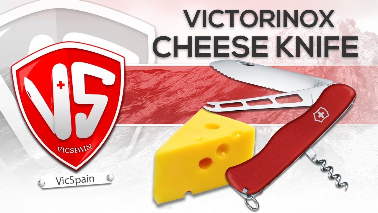 VICTORINOX CHEESE KNIFE REVIEW (All subtitles)
