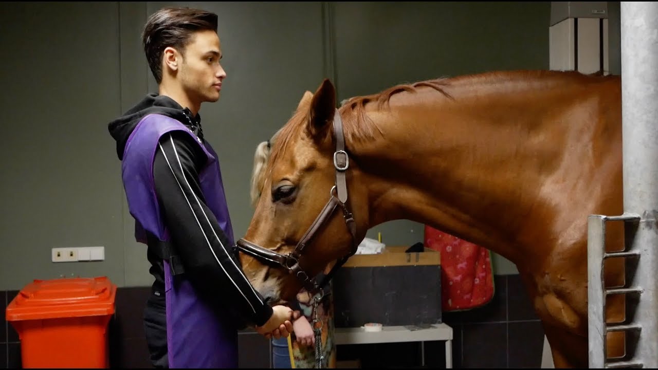 FINDING OUT WHATS WRONG WITH MY HORSE|| MATT HARNACKE