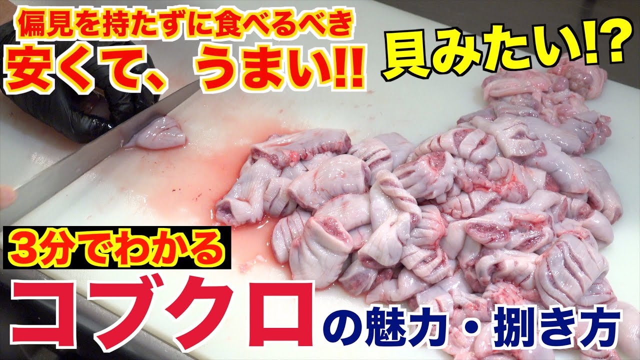 【絶品】焼肉屋が教える！コブクロの魅力と捌き方
