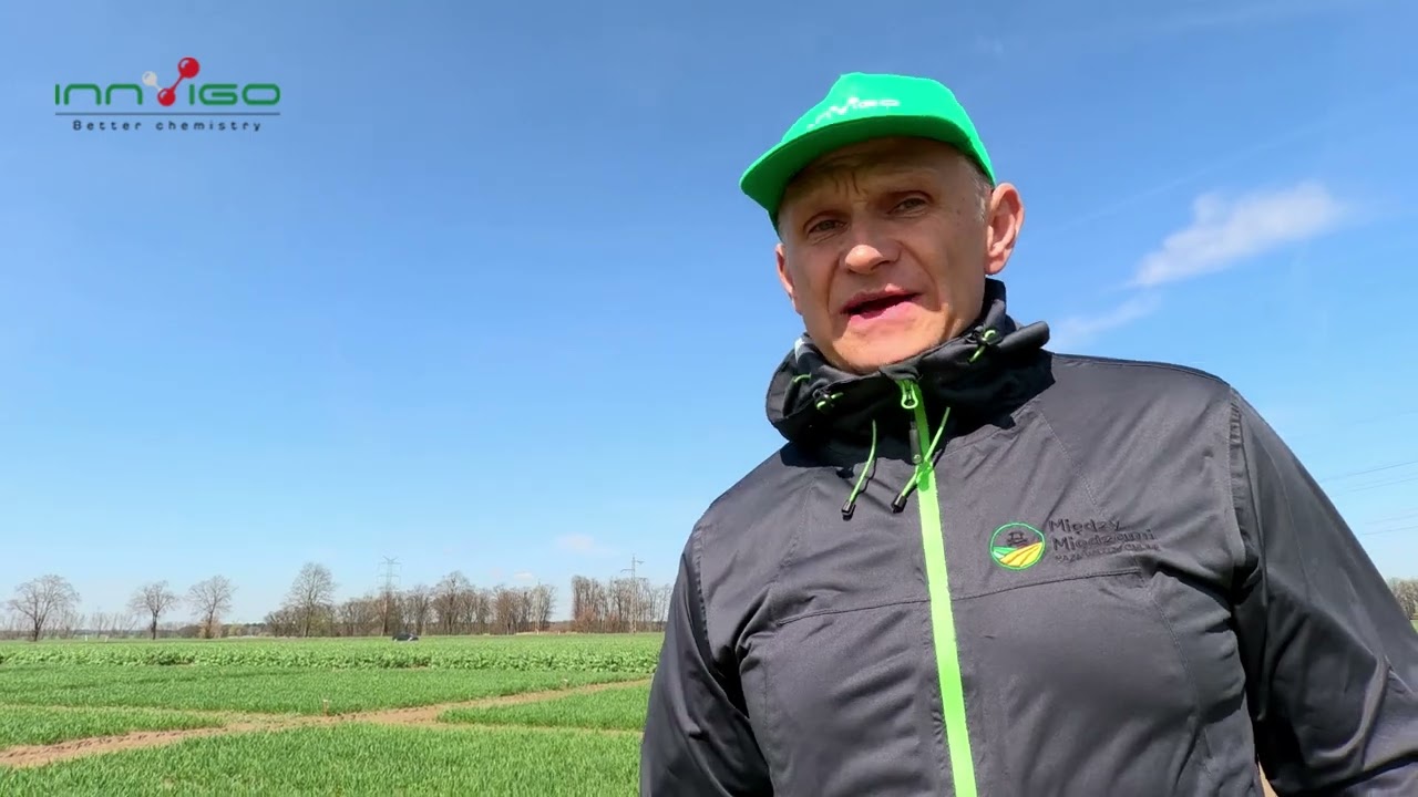Fundamentum 700 WG | Wiosenne zwalczanie chwast&oacute;w w zbożach