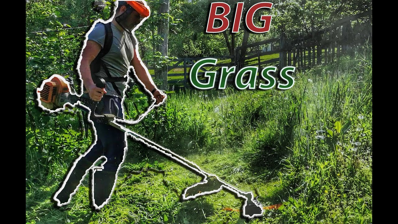 Villager BC 1900s Big Grass!