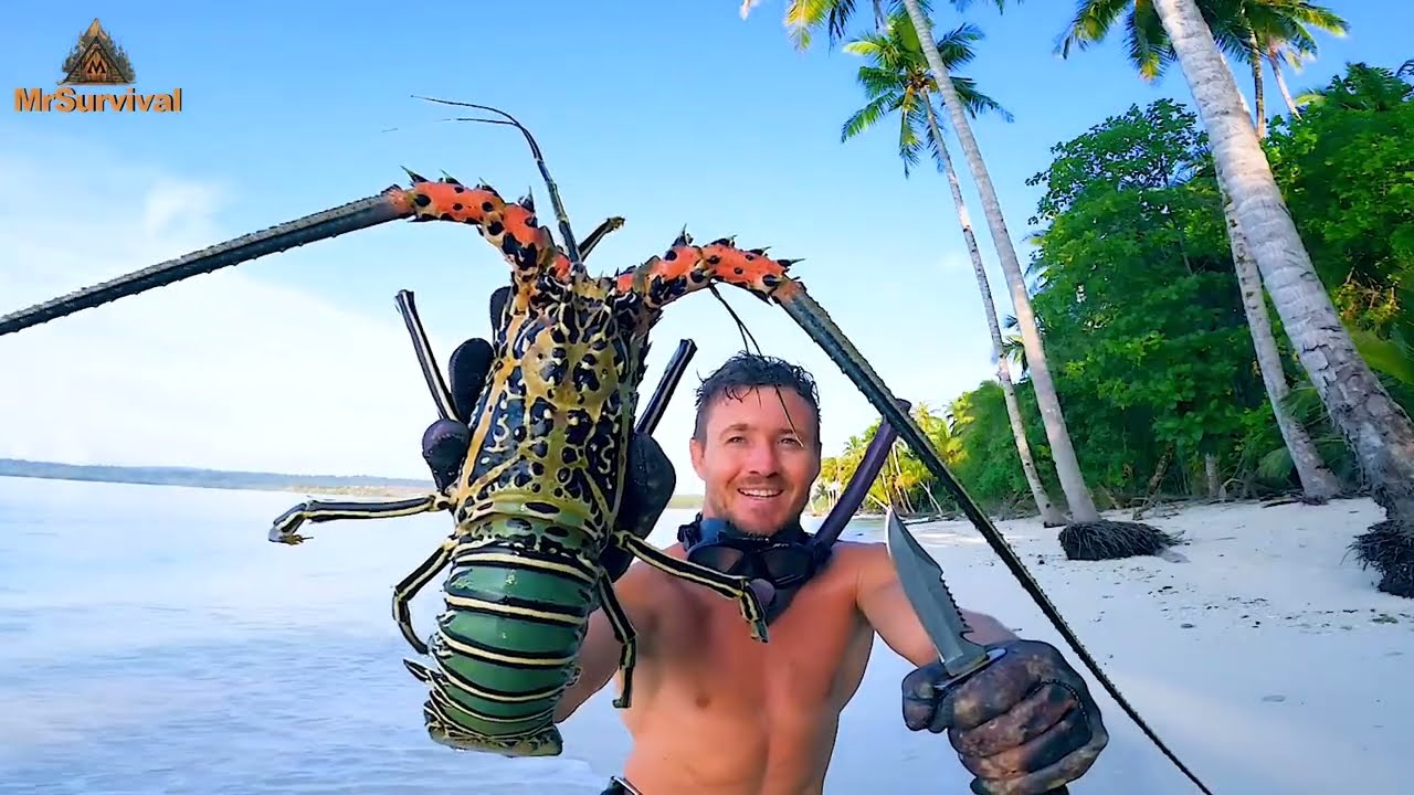 Surviving alone on a desert island, A man eats seafood every day, More enjoyable than a vacation