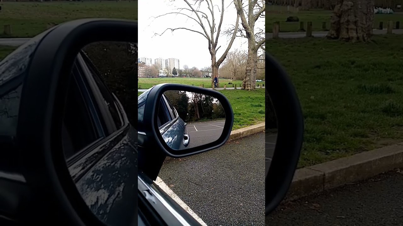 How to properly adjust your side mirrors #car #drivingschool #theorytest #driving #drivinglesson