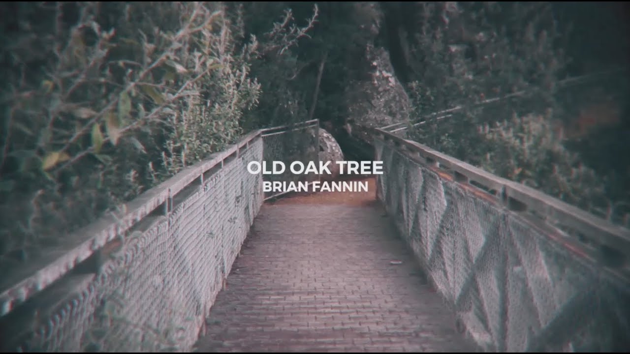 That Old Oak Tree - Brian Fannin // OFFICIAL Lyric Video