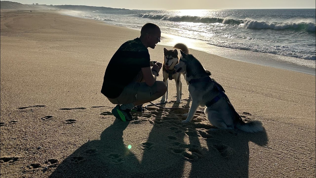 #48 We moeten terug naar Nederland 🇳🇱 ~ WONEN EN WERKEN VANUIT ONZE CAMPER