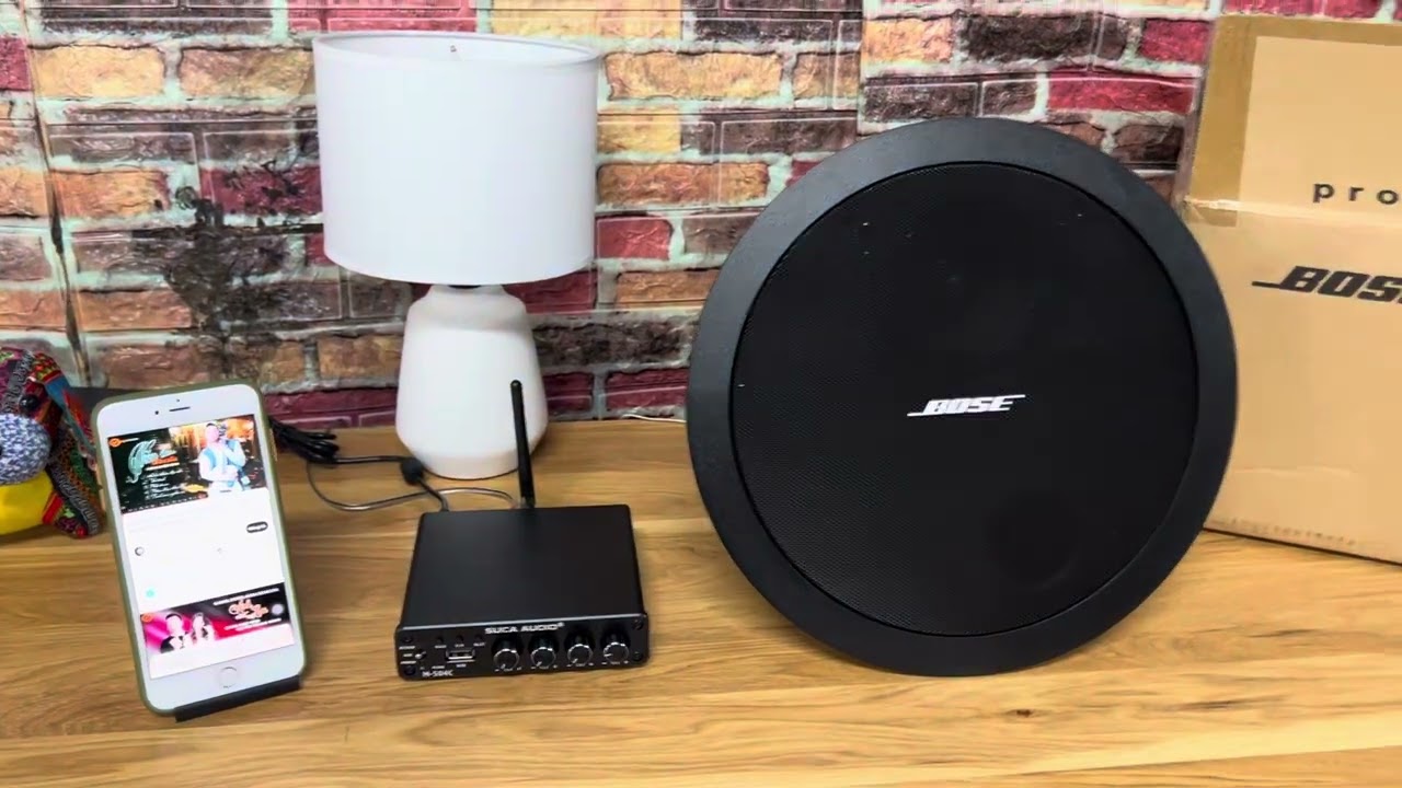 ♻️ Demo loa âm trần Bose DS40F cực chất