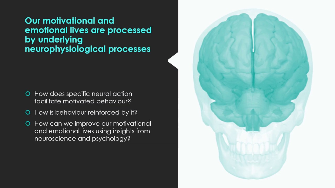 The Ventral Tegmental Area and motivation and emotion