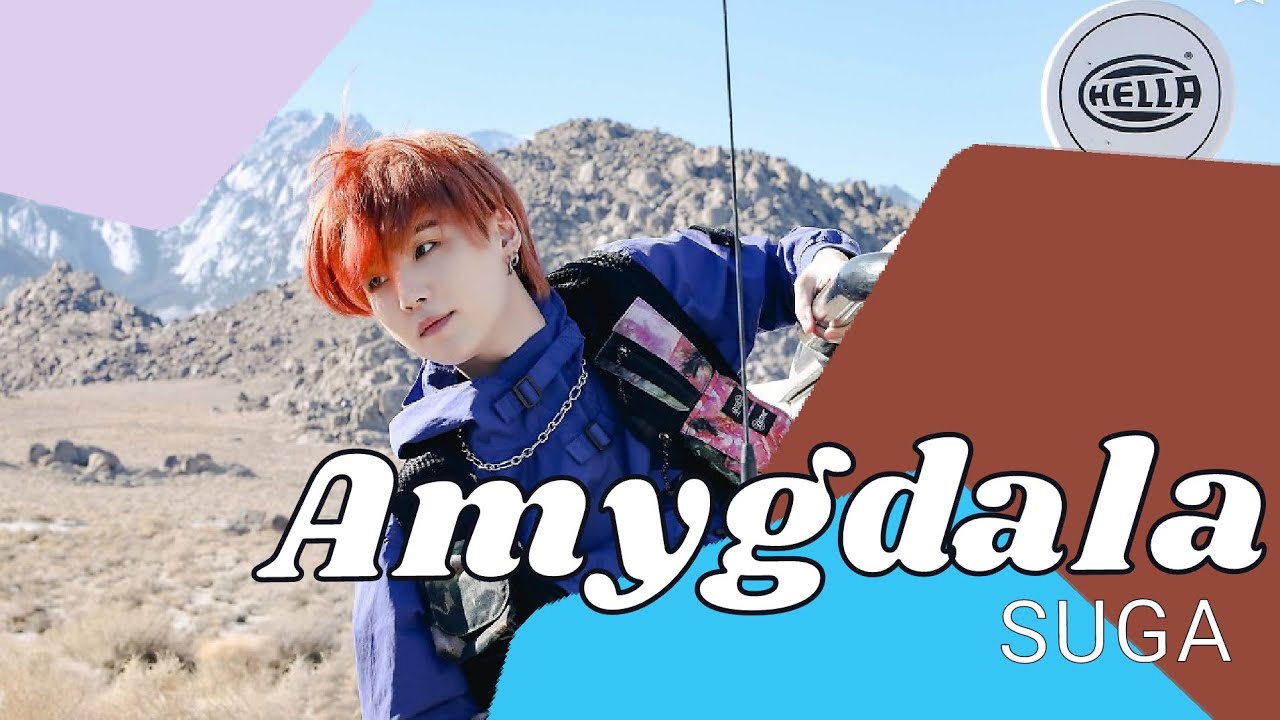 BTS suga Amygdala