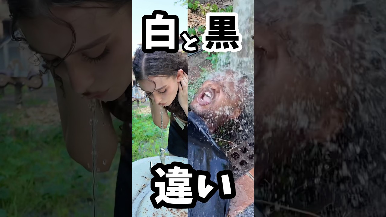 【白と黒の違い】公園の水飲む時 #shorts #ダモ好き