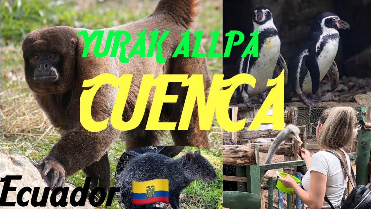 Cuenca 2025 Zoológico Yurak Allpa, lugares que tienes que visitar #turismo #cuenca2024