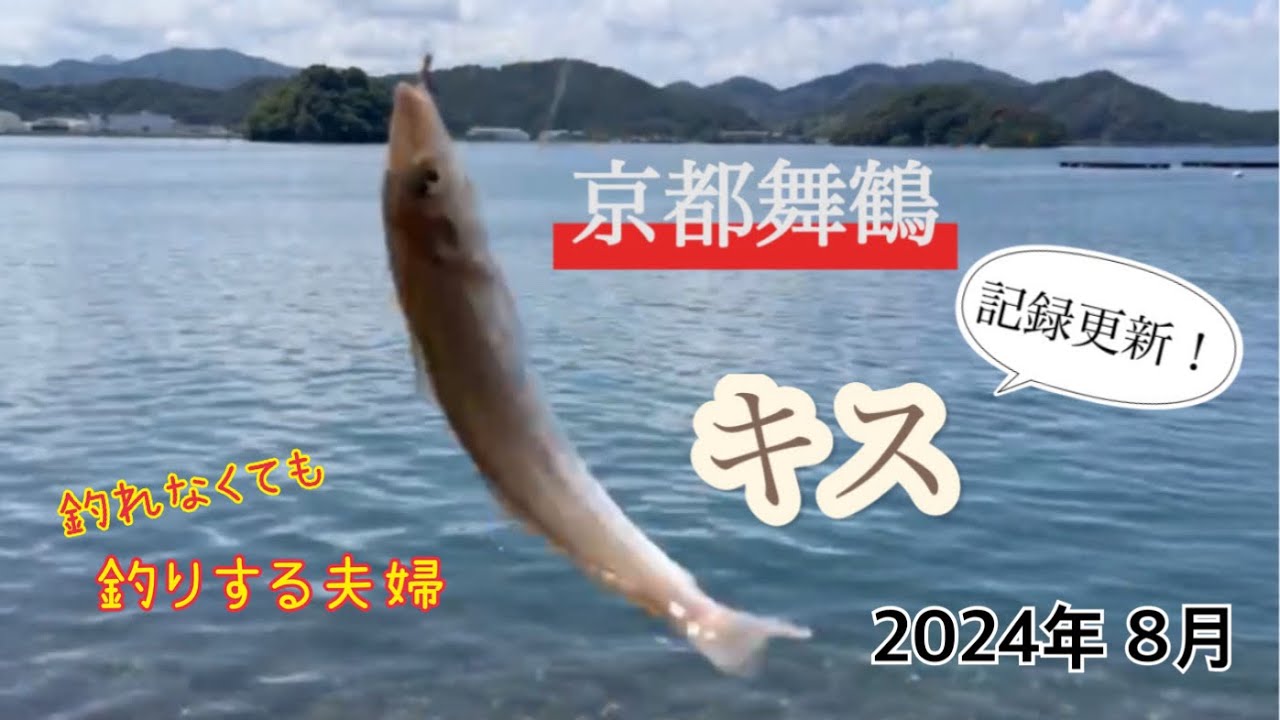 京都舞鶴 キス釣り　カマスも釣れました！
