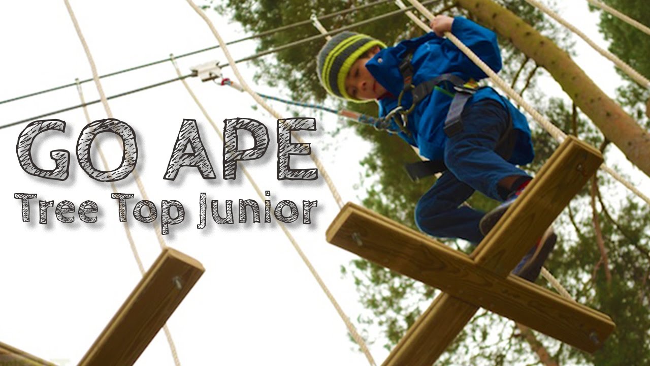 Go Ape Tree Top Junior Review & Guide 🙊