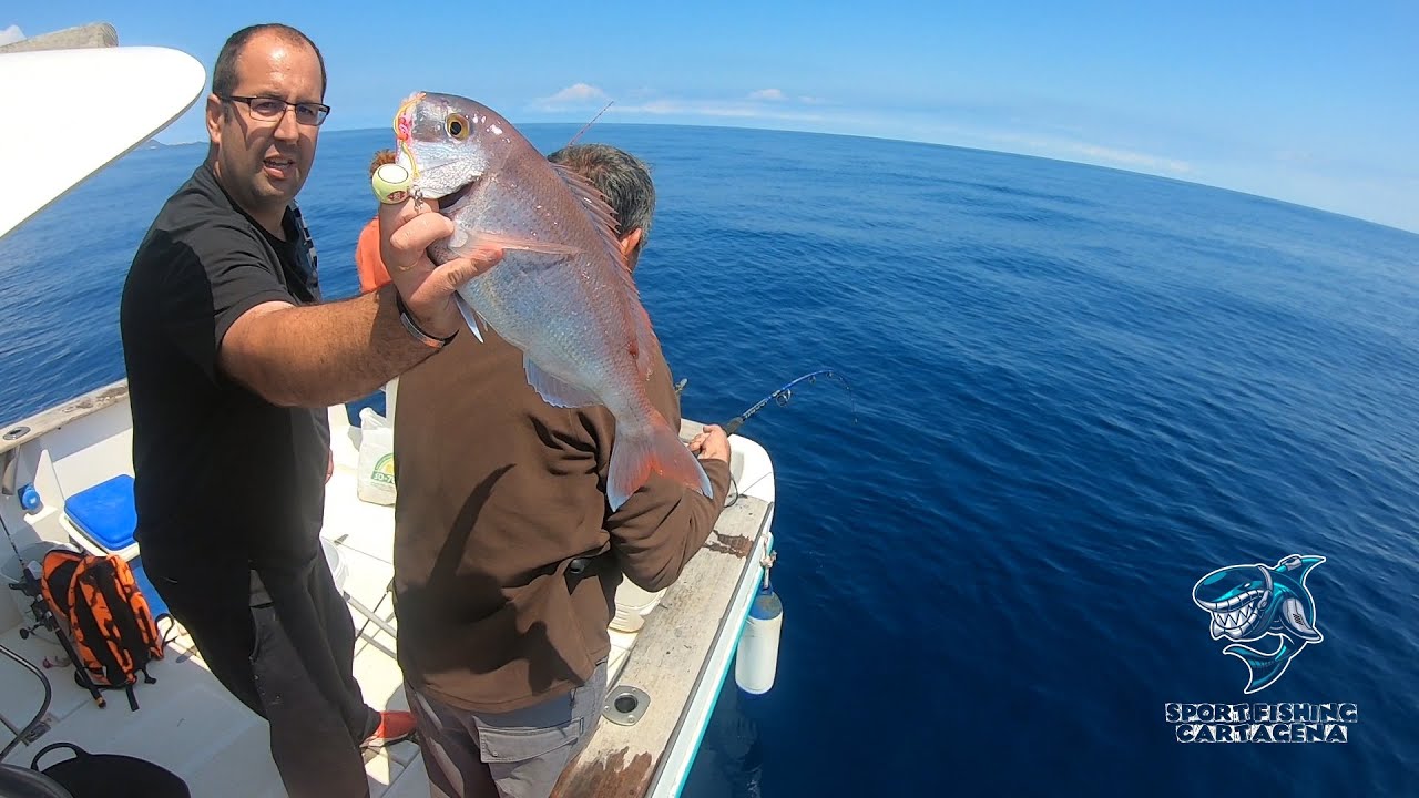 Tai Rubber doblete de Pargo picada en directo. #Pesca #Fishing #slowjigging