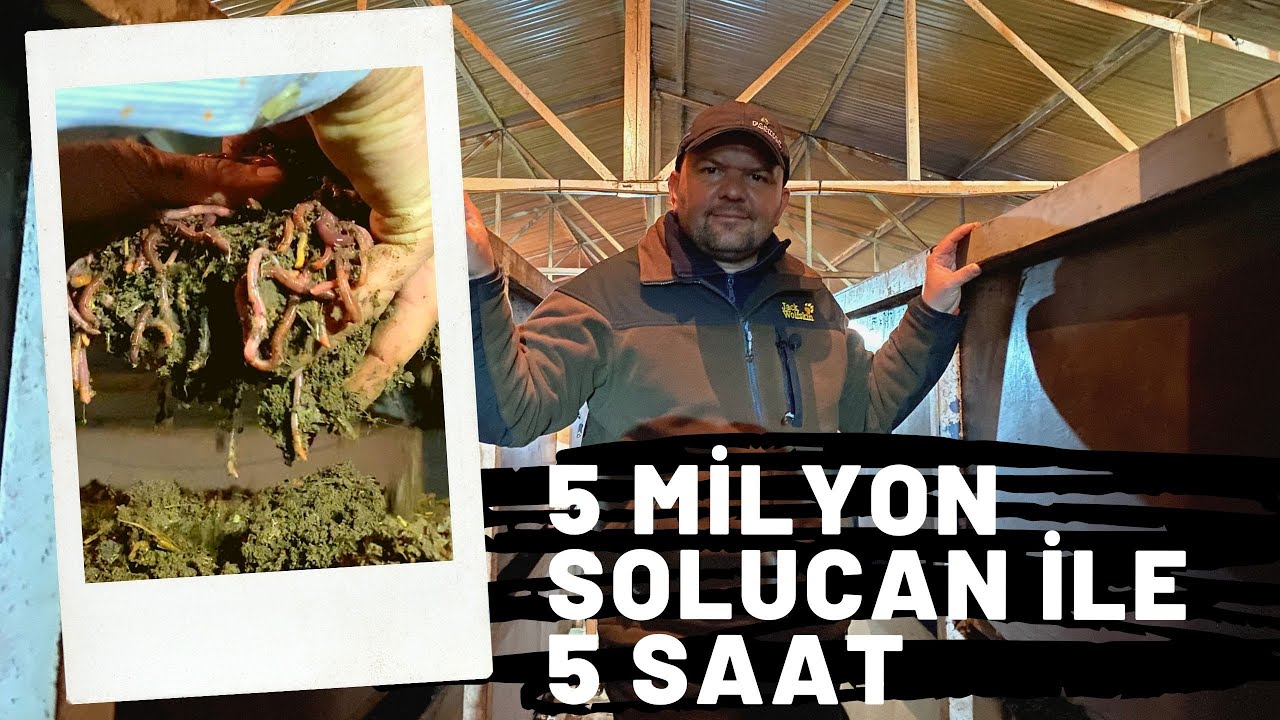 5 MİLYON SOLUCAN İLE 5 SAAT / MUCİZE SİZİ ÇOK ŞAŞIRTACAK