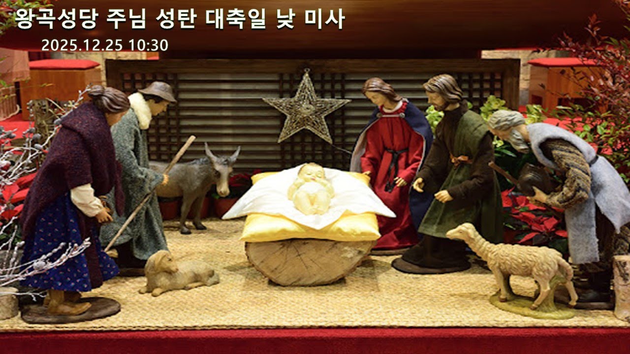 #왕곡성당 주님 성탄 대축일 낮 미사