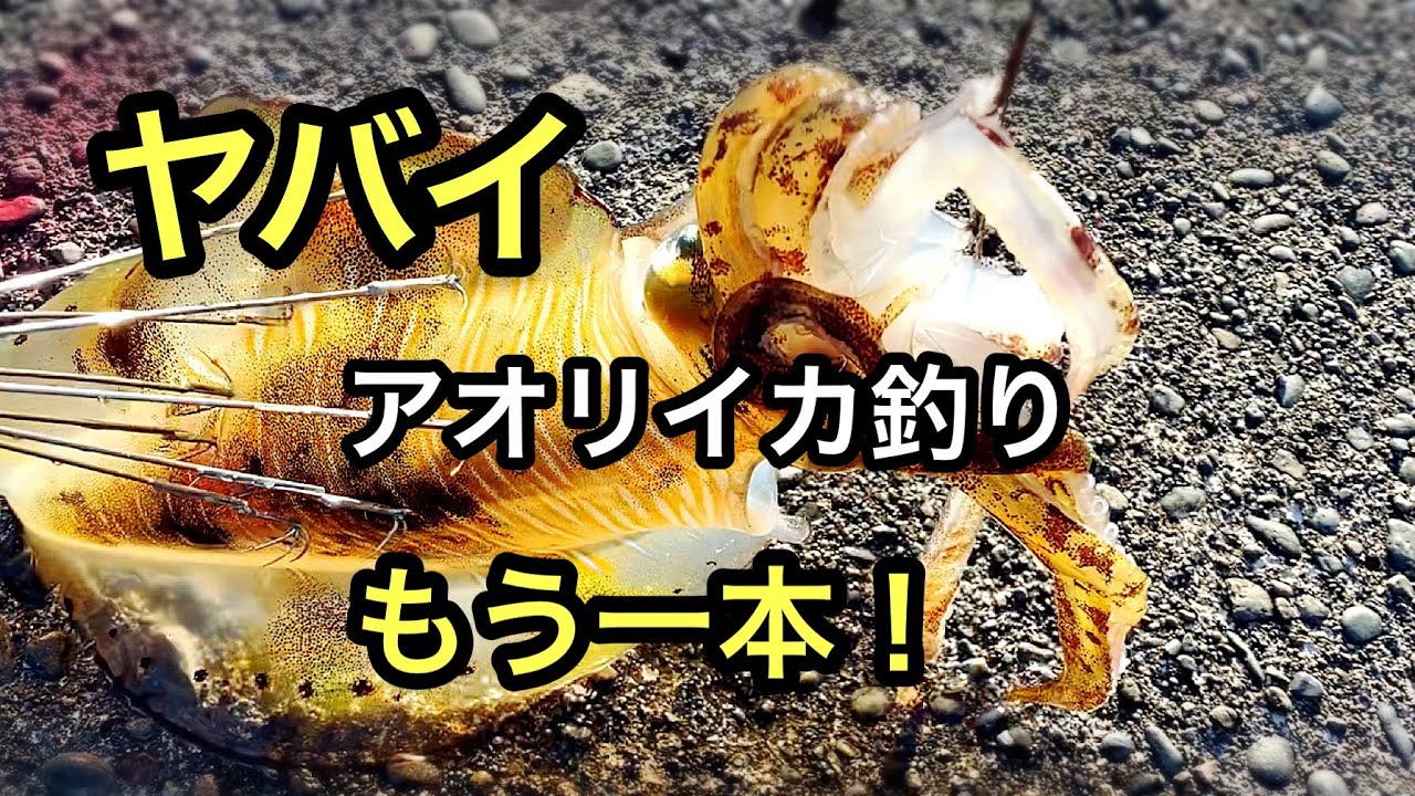 【ヤエン釣り】一本目がダメでも2本目で勝負！