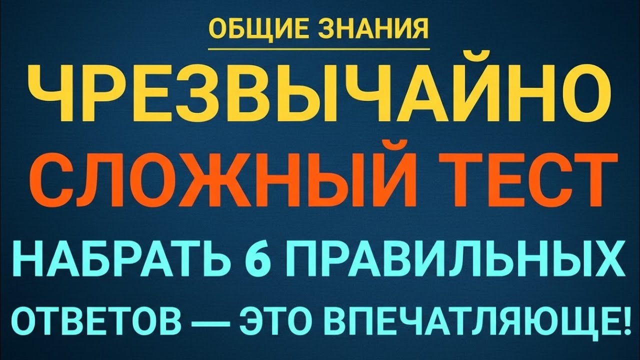 🧠 Проверь свои знания прямо сейчас!