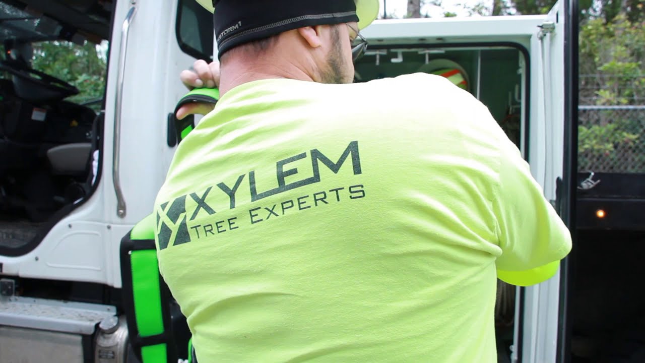 Xylem Tree Experts • Website Landing Page Video