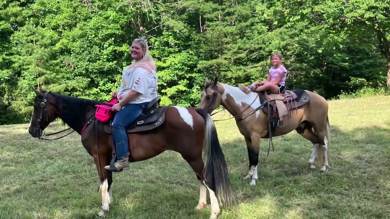SOLD!!!! Autumn Kentucky Mountain mare￼