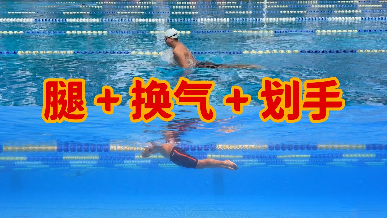 【如何看游泳】4.蛙泳划手、换气与腿的配合