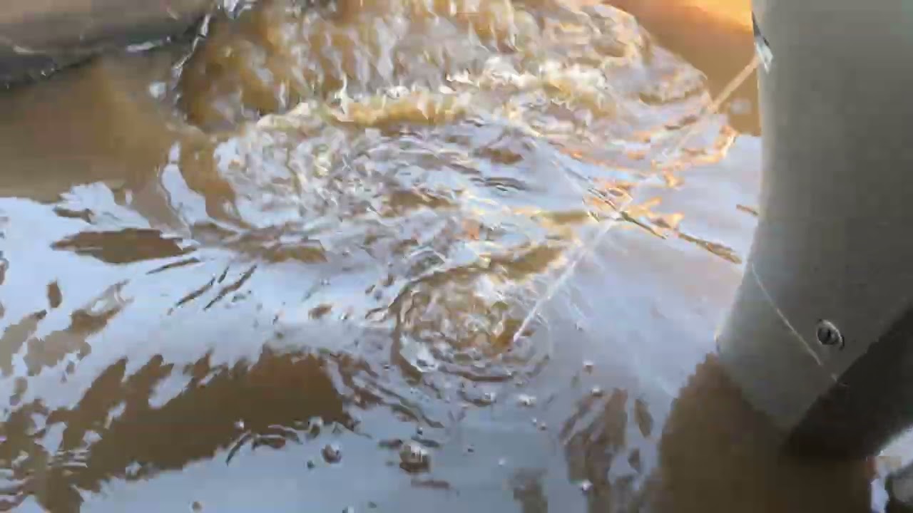 Запуск Honda BF15, Seamotors, Владивосток 