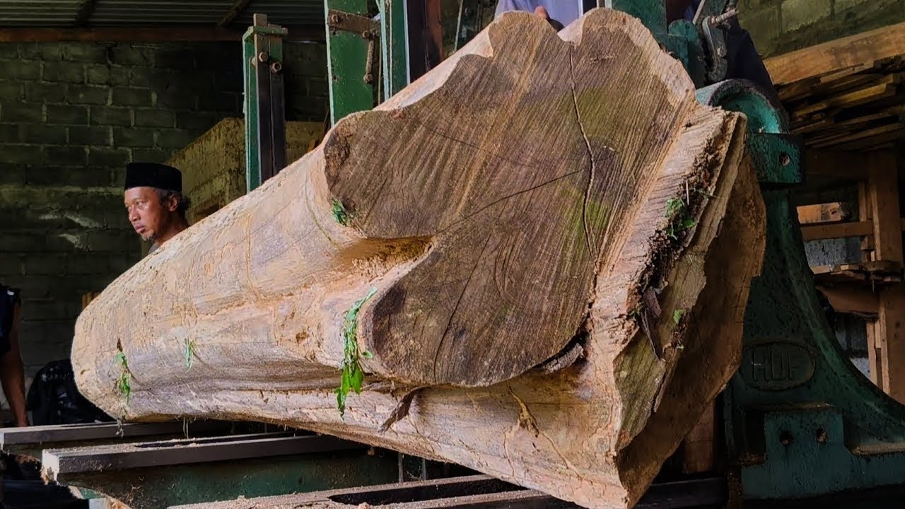 🌲Splitting dry teak wood into several pieces || wood sawing process