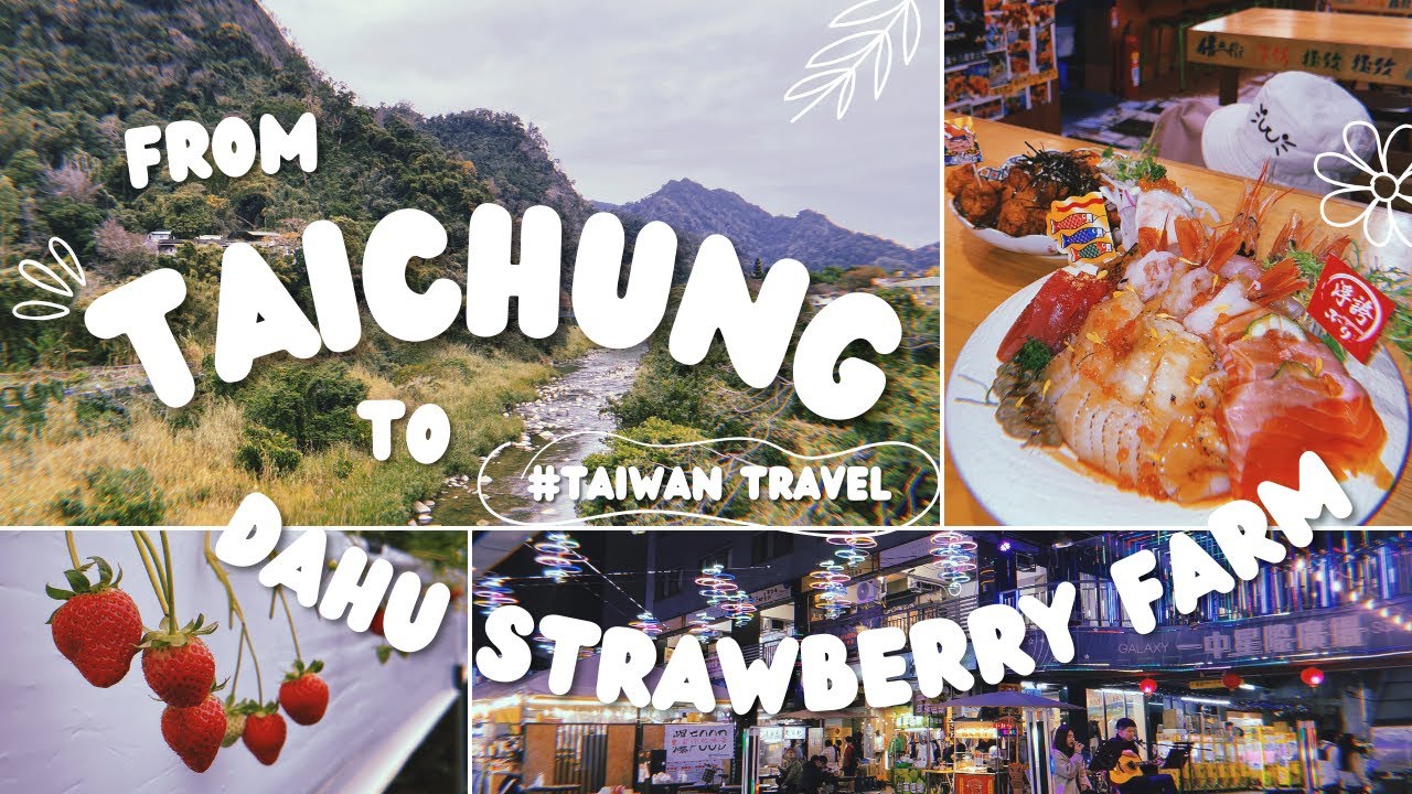 Taiwan Miaoli Strawberry Picking 🍓 | Taichung Hidden Gem Japanese Restaurant 🍣 l Taiwan Travel Vlog