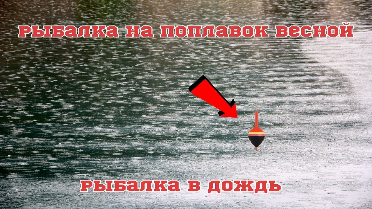 РЫБАЛКА НА ПОПЛАВОК РАННЕЙ ВЕСНОЙ! Ловля на поплавок маховой удочкой. Рыбалка в дождь