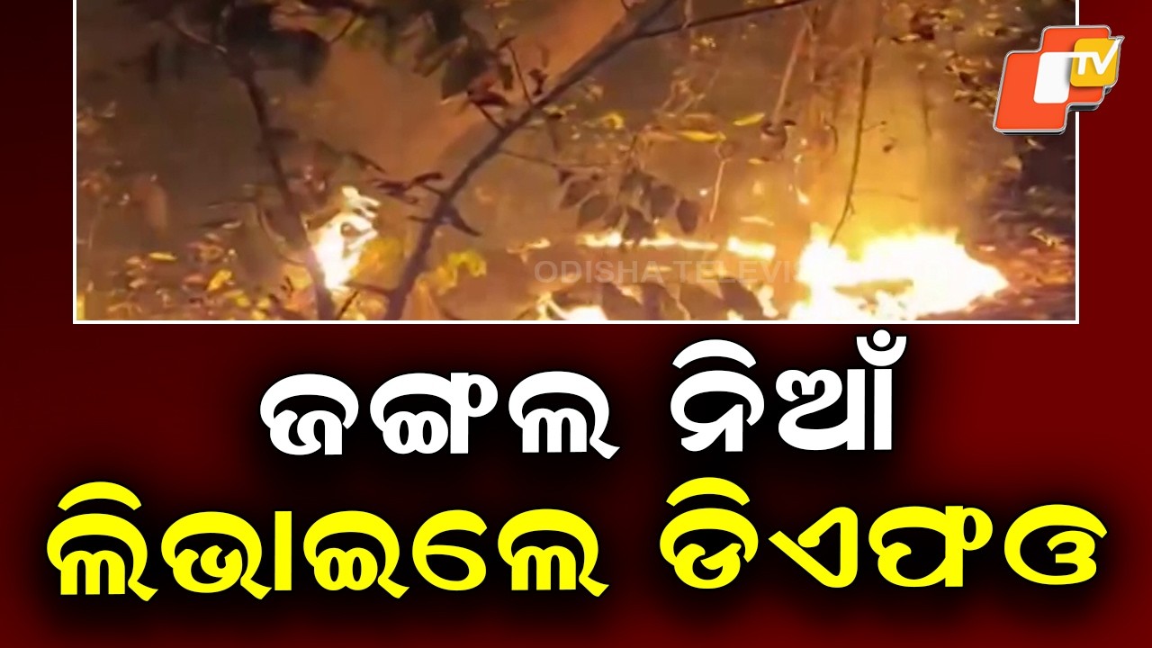 DFO Observes Locals Setting Controlled Forest Fires in Redhakhol, Sambalpur
