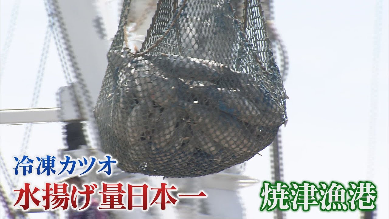 犯行は20年以上前から…水揚げされたカツオ抜き取り横流し　水揚げ日本一の焼津漁港舞台に【重大ニュース静岡2022】