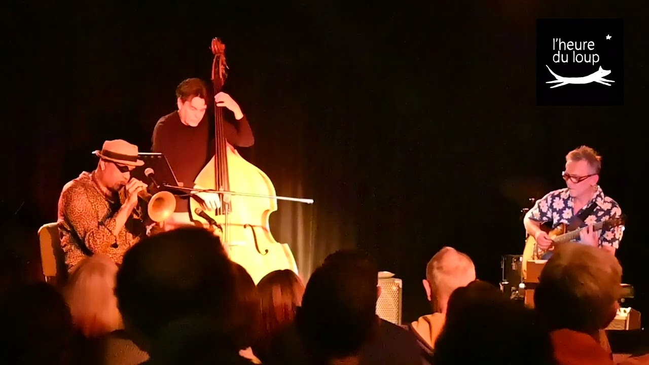 Franck Nicolas, Jean Bardy, Eric L&ouml;hrer / Have You Met Miss Jones