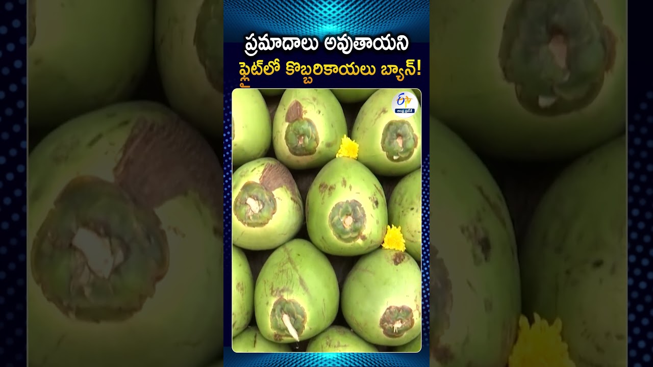 Coconuts Not Allowed On Flights Surprising Reason Behind