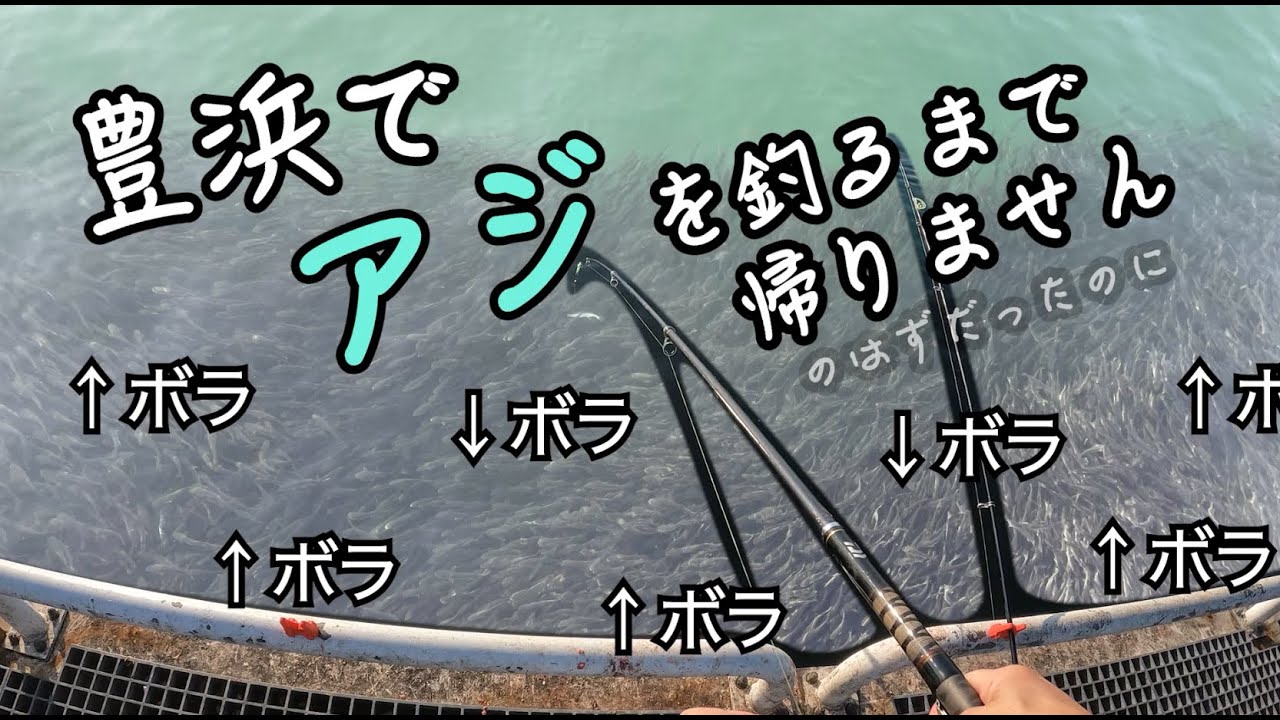 ボラの海からアジを釣ったら某大人気YouTuberに褒められた件。【豊浜釣り桟橋】