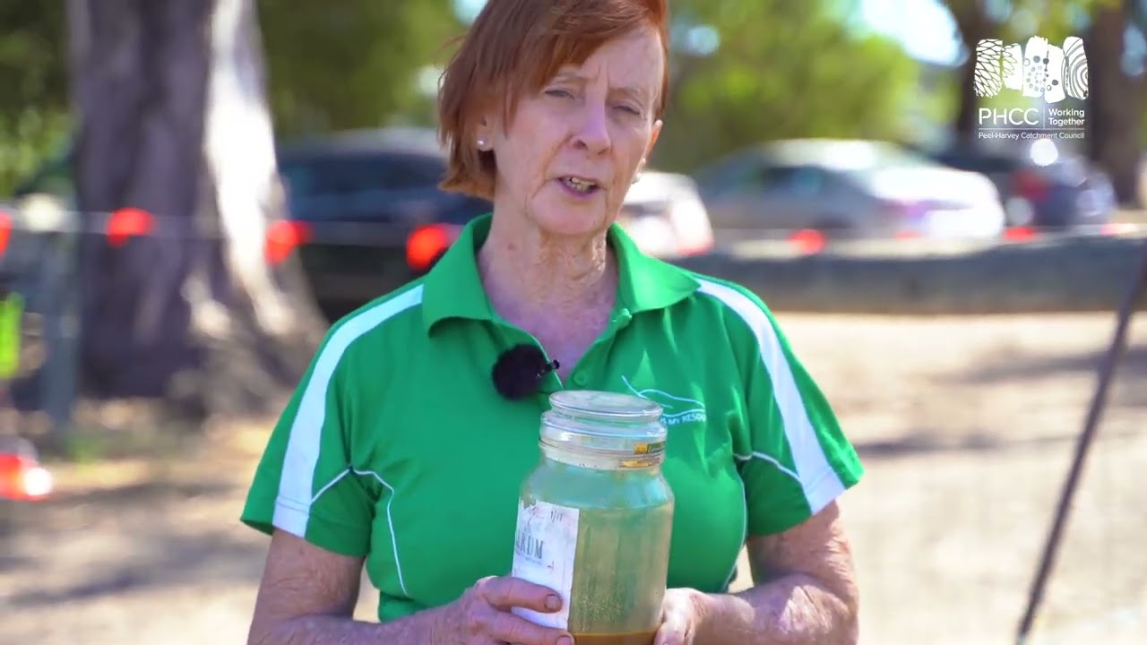 Horse Manure Composting Guide