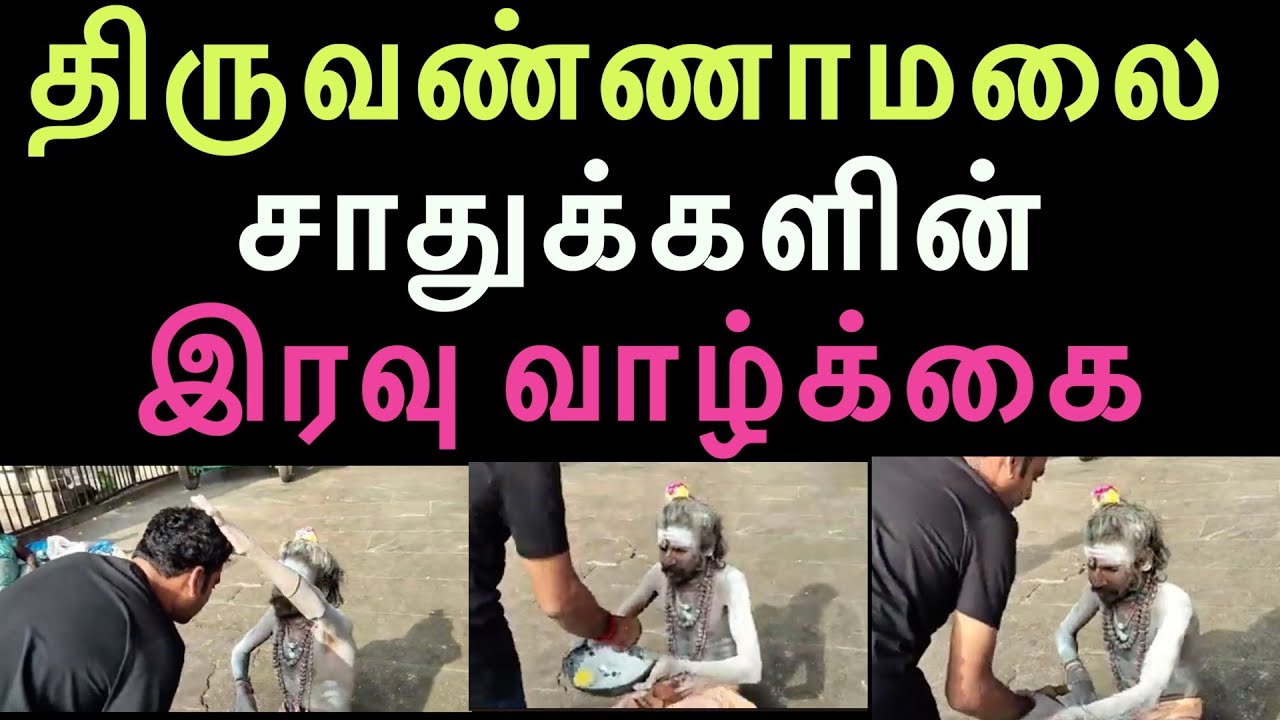 THIRUVANAMALAI SITHARGAL திருவண்ணாமலை சாதுக்களின் இரவு வாழ்க்கை