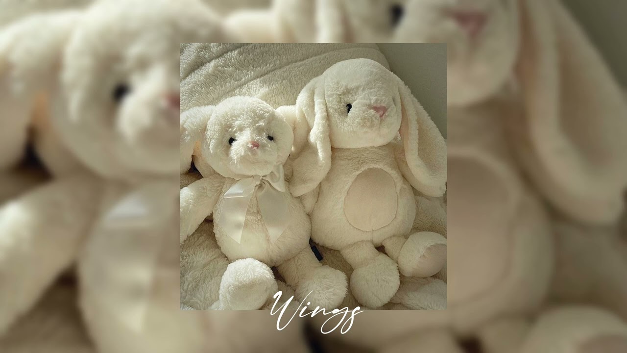 birdy - wings (sped up)