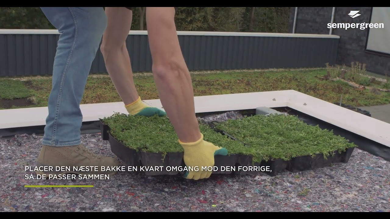 Installationsvejledning for Click 'n Go Sedumtrays