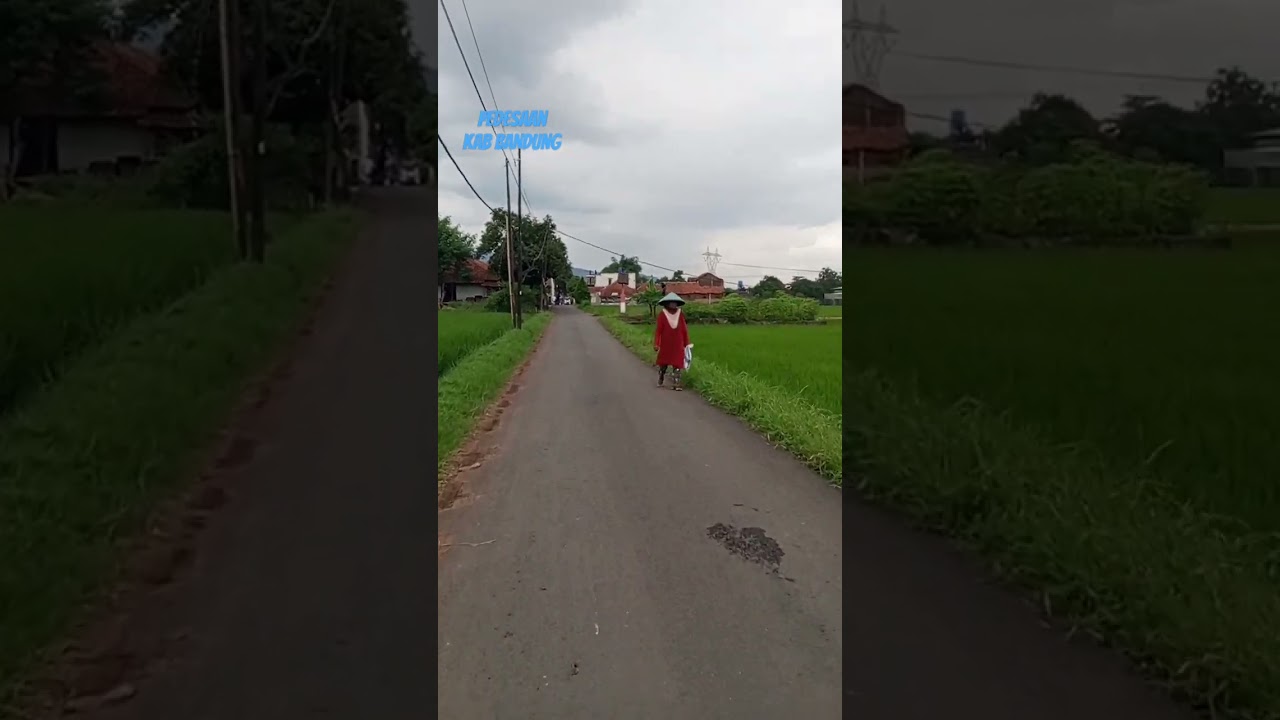 Jalan pedesaan Majalaya Bandung #vlogperjalanan #jangkauan #pedesaan #shotrs