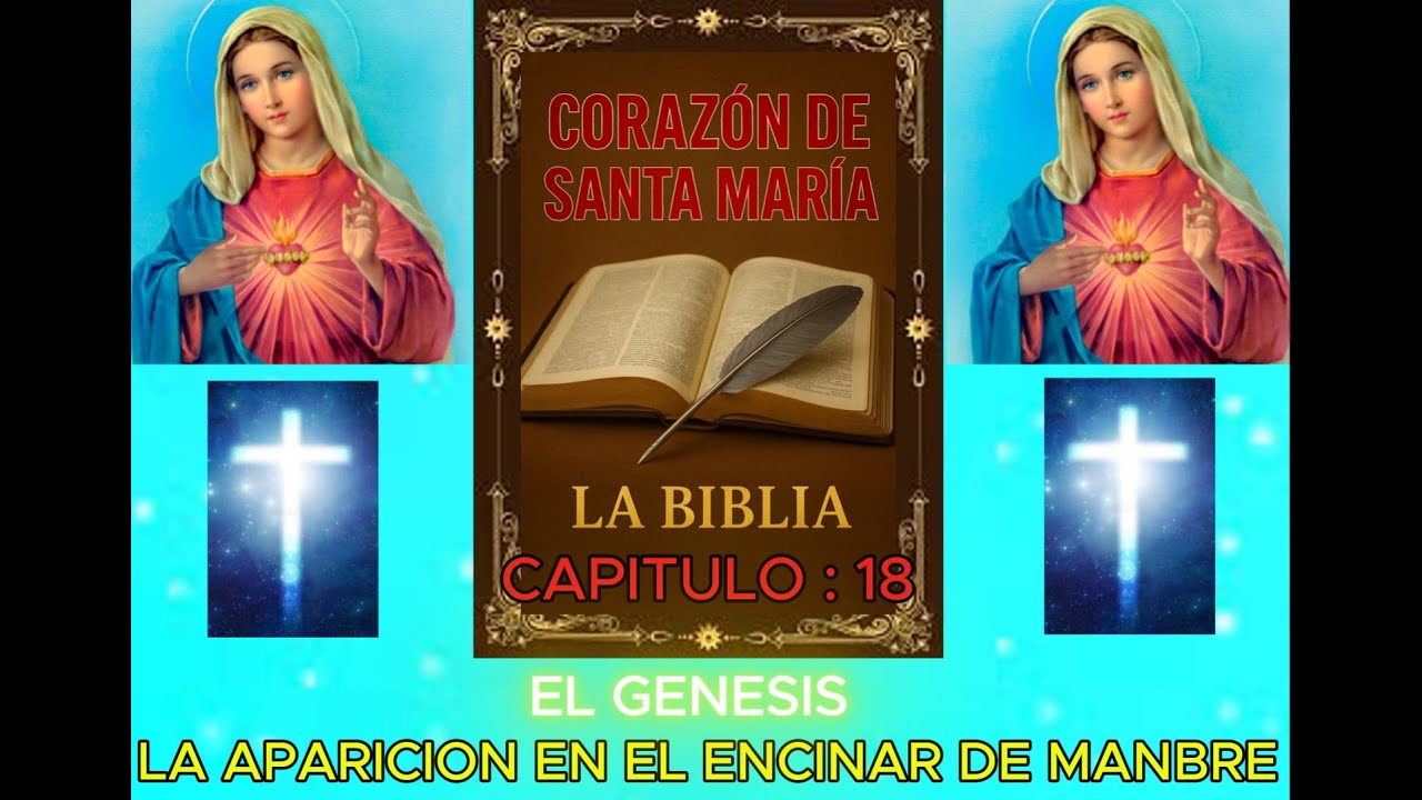 CORAZON DE SANTA MARIA :  CAPITULO : 18 LA APARICION EN EL ENCINAR  DE MANBRE : EL GENESIS