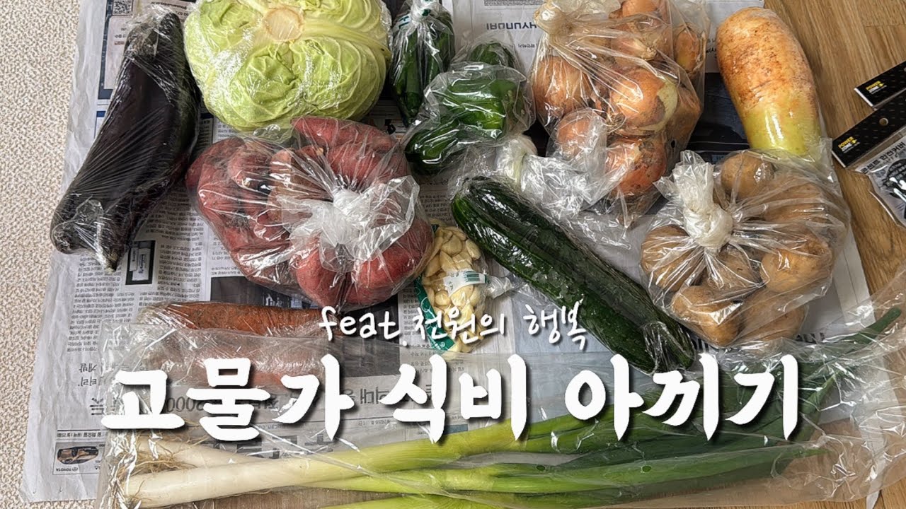 🫑VLOG: 짠순이 모드 천원짜리 야채몰에서 장보고 요리하는 브이로그