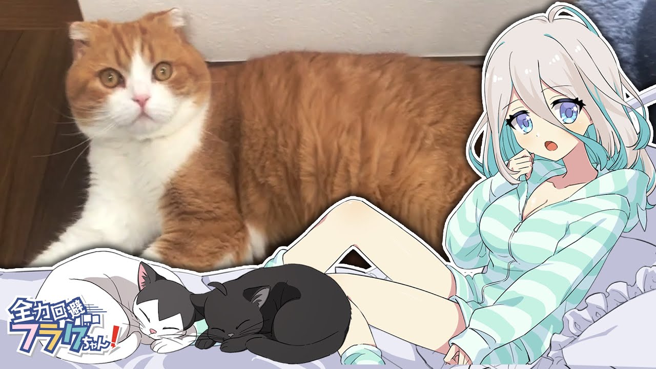 生存フラグと見るみんなのネコ動画【生存フラグ週間】