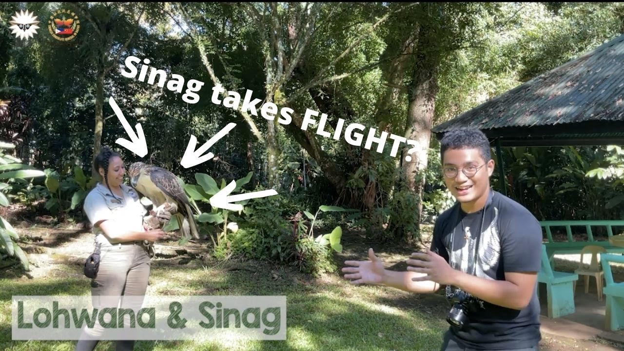 Nature Talks 2021: Philippine Eagle Behaviours