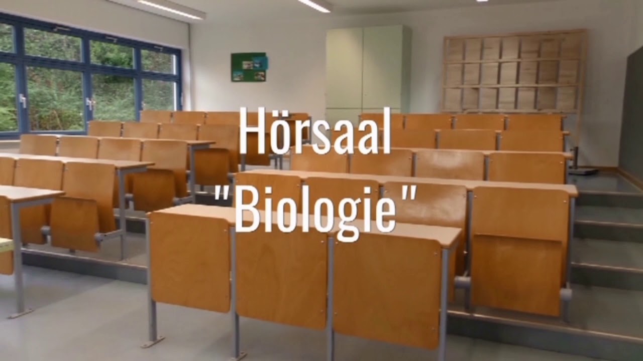 Vorstellung des MGF