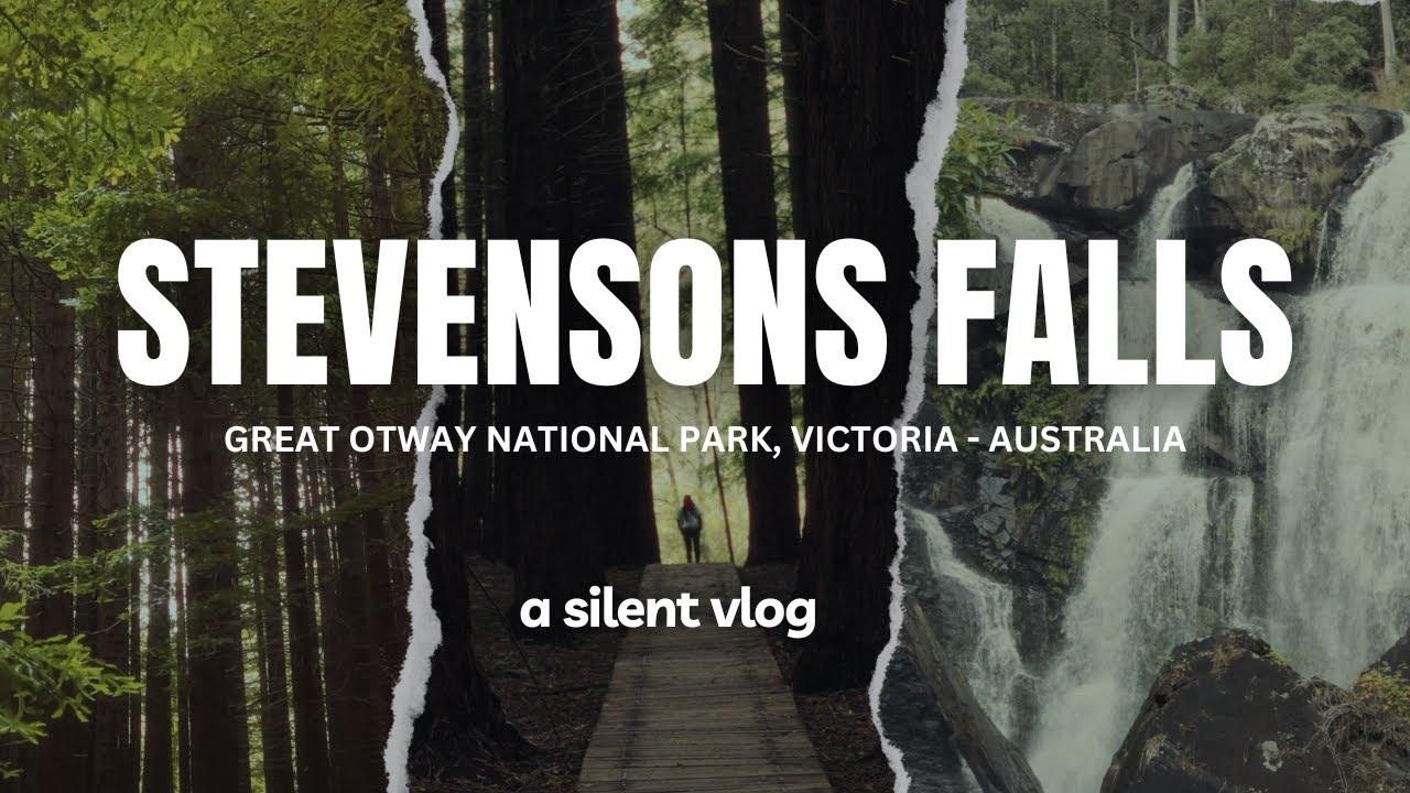 Silent Hike to Stevensons Falls - Otways | Relaxing Nature Sounds and Birdsong | 4K HD Walk