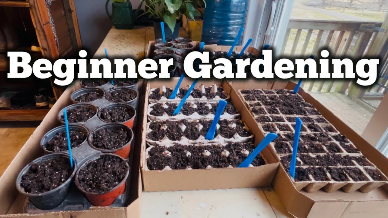 Beginner Gardening; Seed Starting, Winter Sowing, Money Saving Hacks, Environmentally Conscious Tips