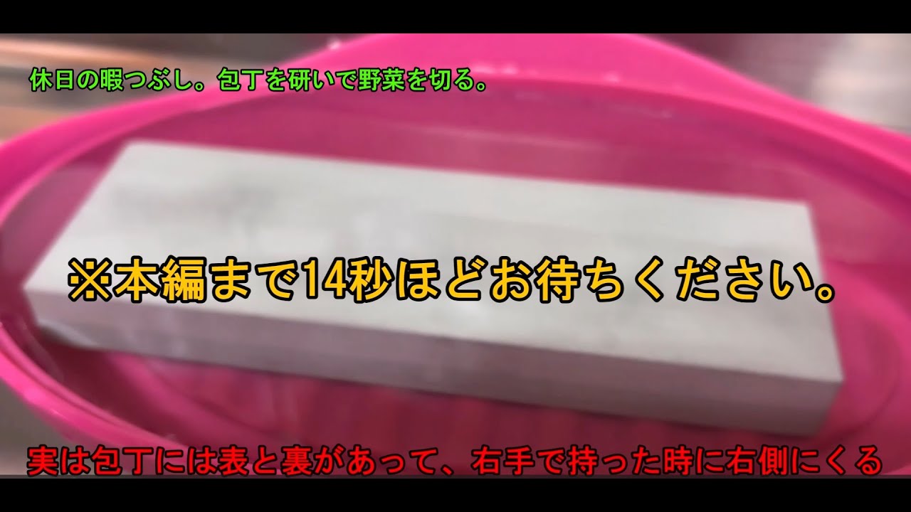 休日の暇つぶし。包丁を研いでネギを切るの回1.5倍速
