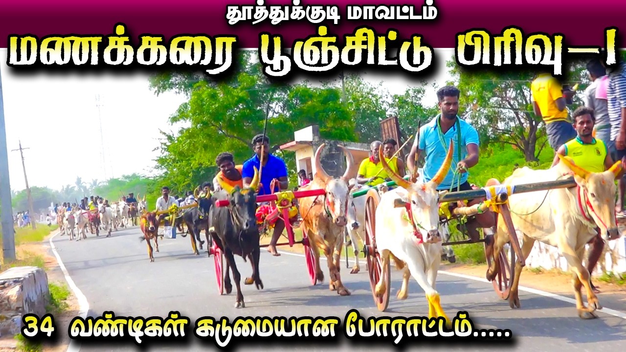தூத்துக்குடி மணக்கரை பூஞ்சிட்டு 01 11/02/2026 #krish_studio_kattumavadi