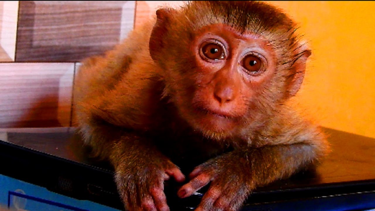 I am very surprise! Rose feeling better after having bath cos injure better | Thanks kindness