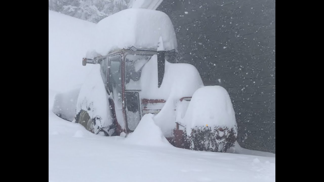 1977 International Harvester 574 Snowblowing. Extreme snow over nigth 70cm (2 feet+)